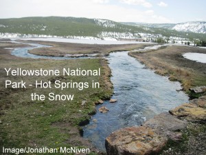 Hot-Springs-in-Yellowstone-National-Park-Image