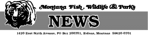 FWP image